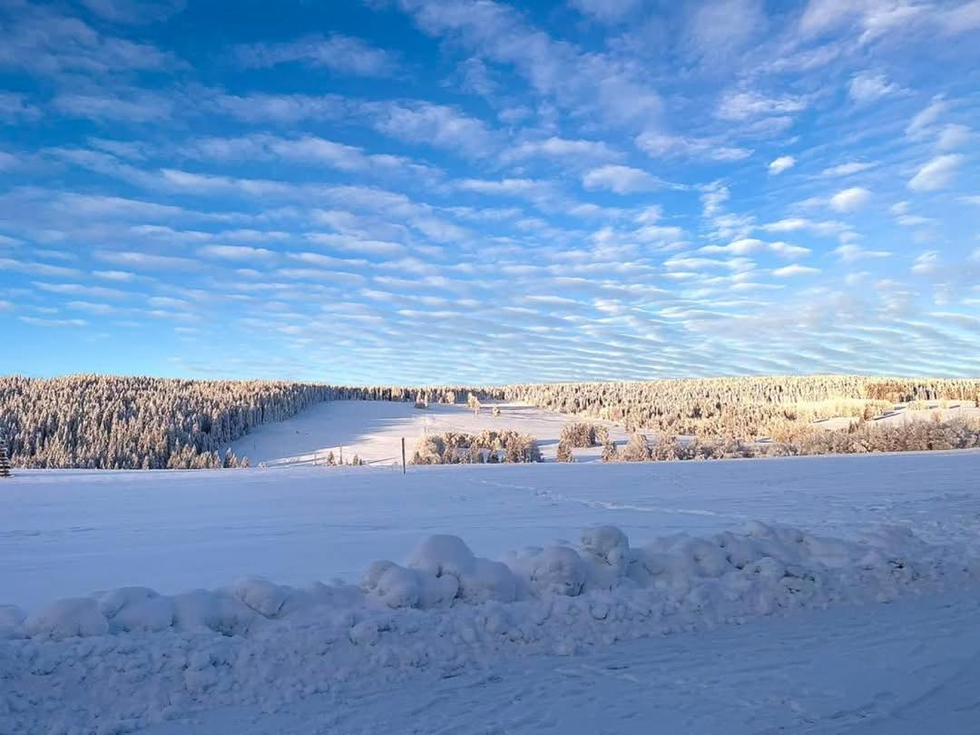 Ubytovani V Sumavskem Dome Нове Хуте Екстериор снимка